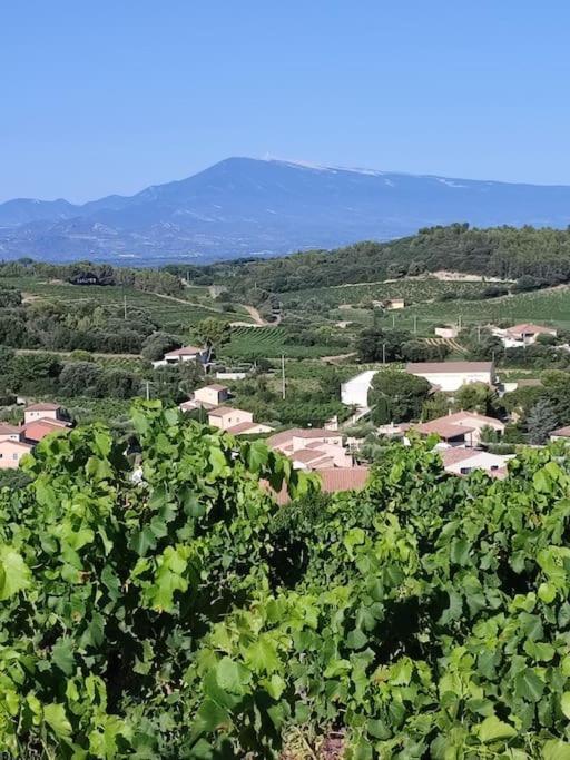 Maison De Village Châteauneuf-du-Pape Exteriör bild